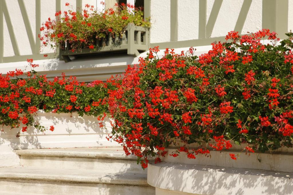Manoir De Benerville Bed and Breakfast Deauville Eksteriør billede